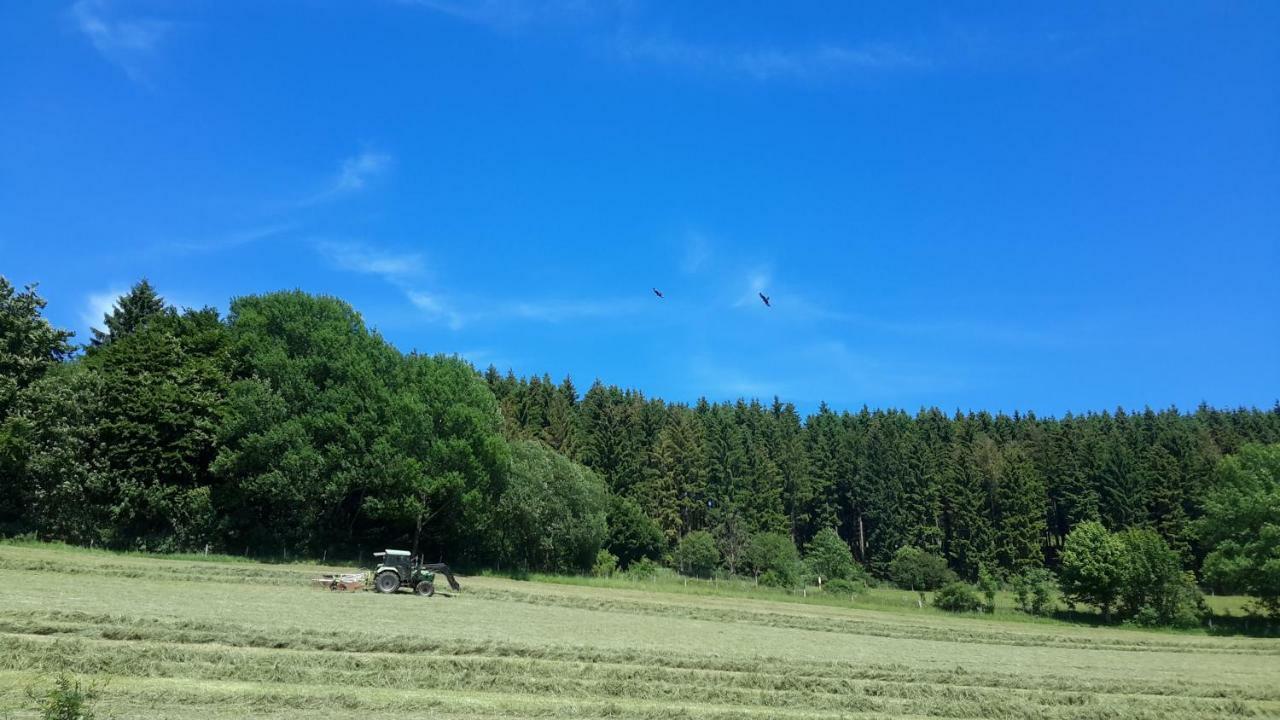 Winterberg Hillesee Bagian luar foto